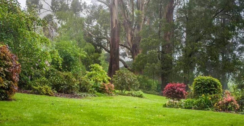 Beechmont Garden Retreat Guest House โอลินดา ภายนอก รูปภาพ