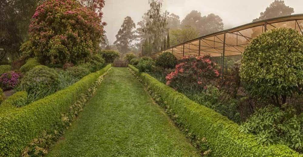 Beechmont Garden Retreat Guest House โอลินดา ภายนอก รูปภาพ